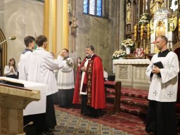 Odpust ku czci Św. Krzyża i XIII Charytatywny Festyn Parafialny, 14.09.2025